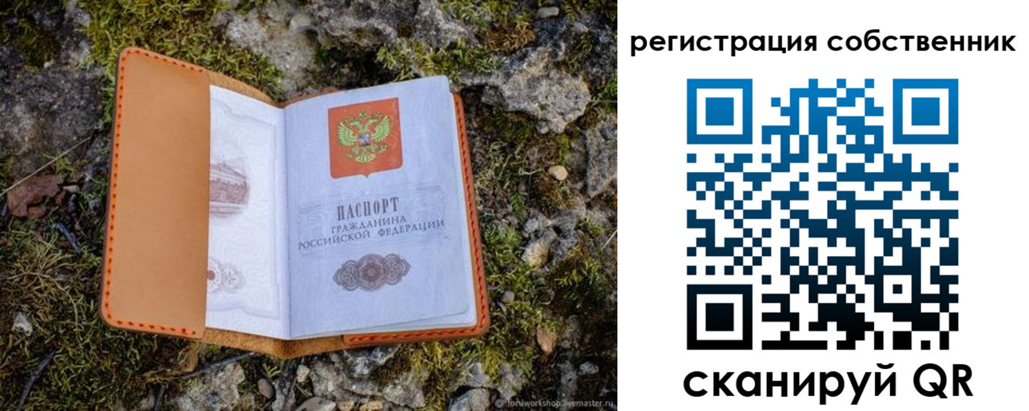 прописка поиск в Алексеевке